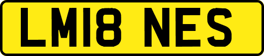 LM18NES