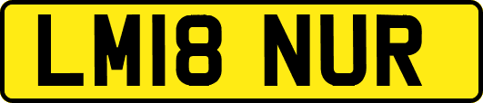 LM18NUR