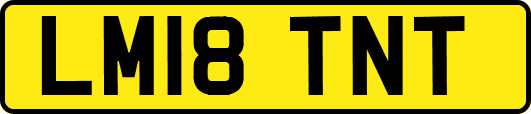 LM18TNT