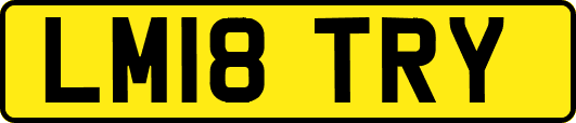 LM18TRY