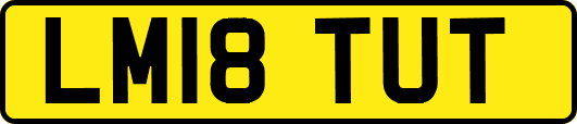 LM18TUT