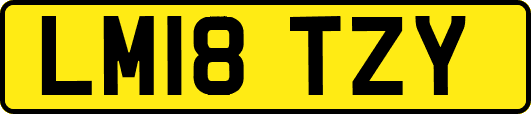 LM18TZY