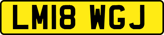 LM18WGJ