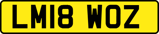 LM18WOZ
