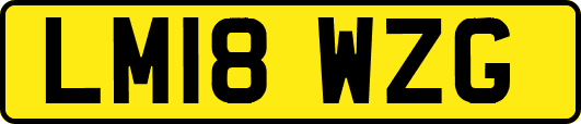 LM18WZG