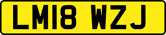 LM18WZJ
