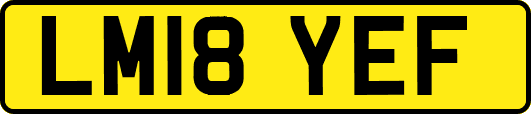 LM18YEF