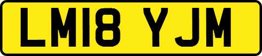 LM18YJM