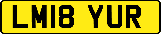 LM18YUR
