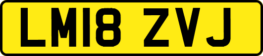 LM18ZVJ