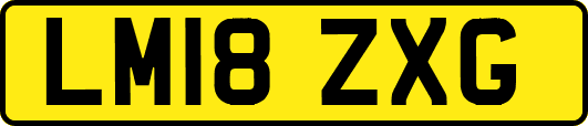 LM18ZXG
