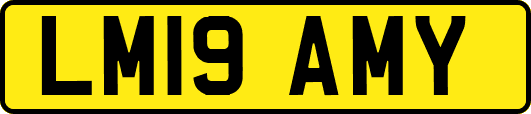 LM19AMY