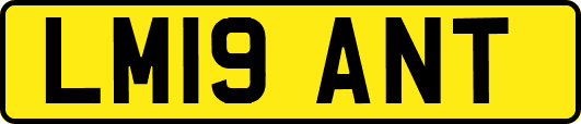 LM19ANT