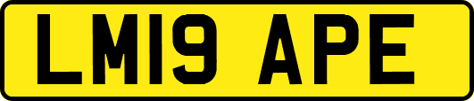 LM19APE