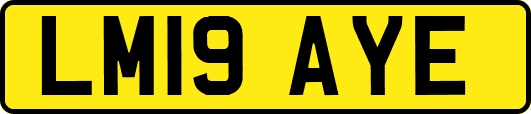 LM19AYE