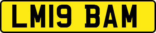 LM19BAM