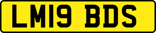 LM19BDS