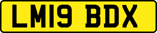 LM19BDX