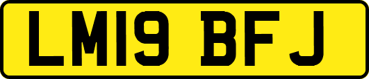 LM19BFJ