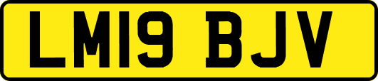 LM19BJV