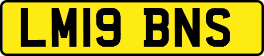 LM19BNS