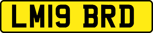 LM19BRD