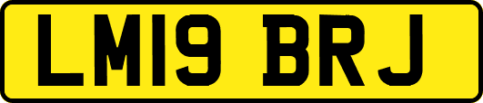 LM19BRJ