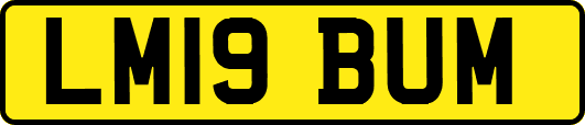 LM19BUM
