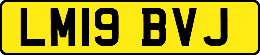 LM19BVJ