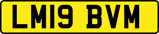 LM19BVM