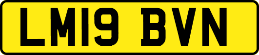 LM19BVN