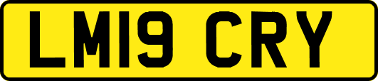 LM19CRY
