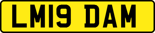 LM19DAM