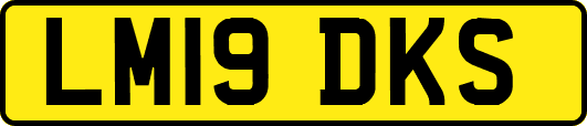 LM19DKS