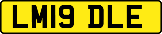 LM19DLE