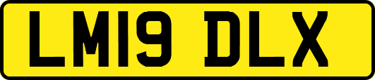 LM19DLX
