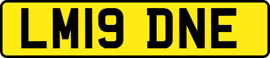LM19DNE
