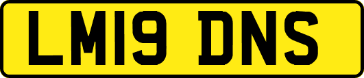LM19DNS