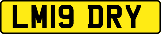 LM19DRY