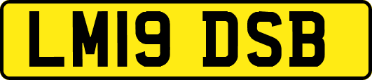 LM19DSB