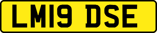 LM19DSE