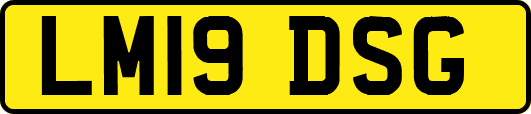 LM19DSG