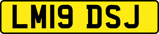 LM19DSJ