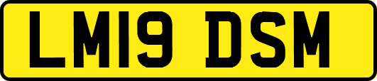 LM19DSM