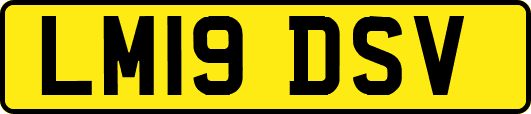 LM19DSV