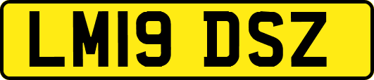 LM19DSZ