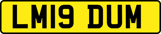LM19DUM
