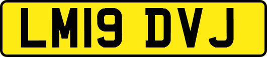 LM19DVJ
