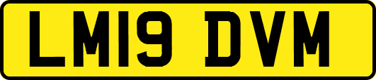 LM19DVM