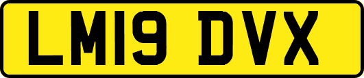 LM19DVX
